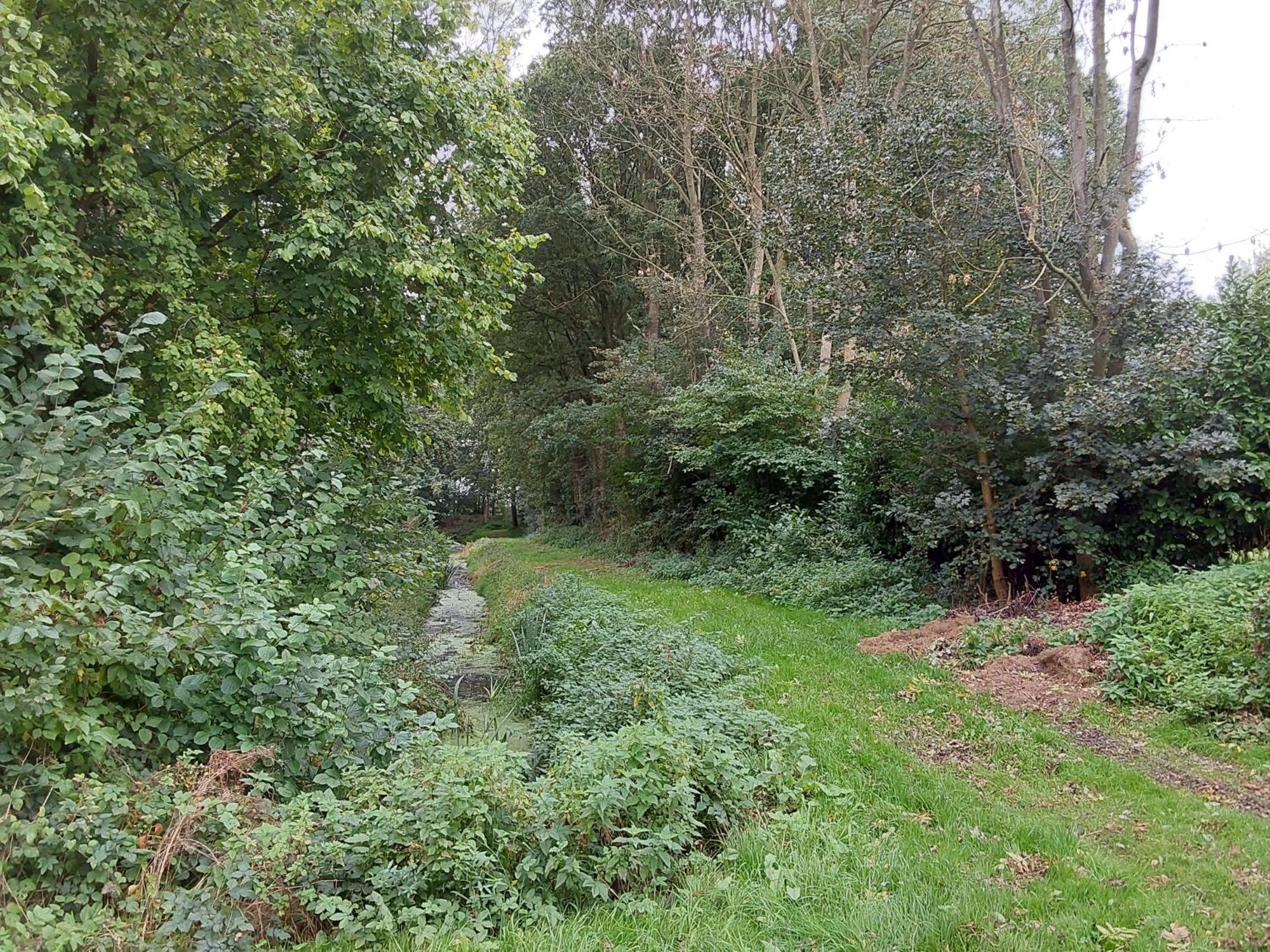 Ewijk Rumah Senang Wellness Met Hottub En Tuin מראה חיצוני תמונה